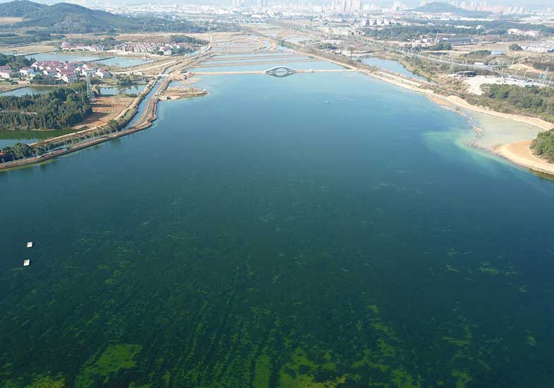 江西省新余市龍須溝水環境提升項目